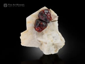 Fiery Spessartine Garnet crystals with Apatite on white Feldspar matrix.