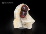 Fiery Spessartine Garnet crystals with Apatite on white Feldspar matrix.