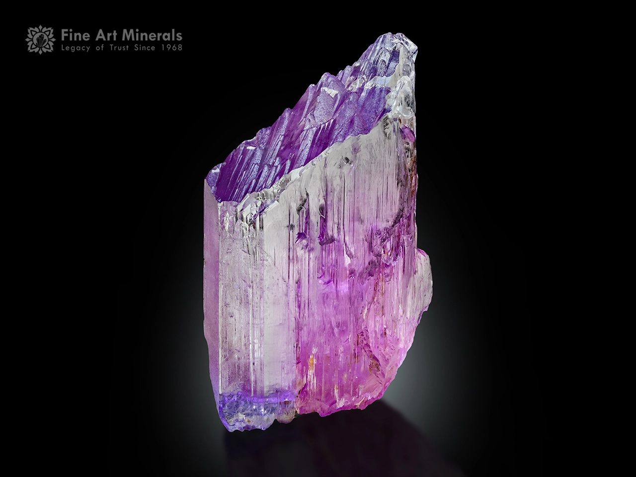 7 cm Kunzite crystal from Afghanistan with lilac color, vertical striations, and natural termination.