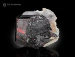 Fiery red Tantalite-(Mn) crystal with Quartz and Muscovite from Afghanistan
