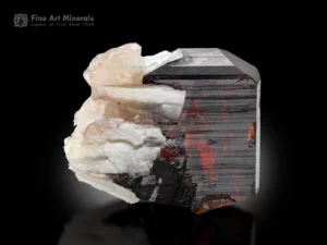 Fiery red Tantalite-(Mn) crystal with Quartz and Muscovite from Afghanistan