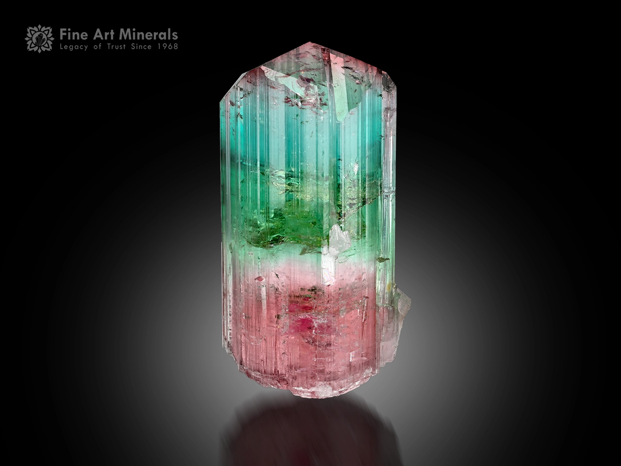 Natural tourmaline crystal with green and seafoam blue upper section transitioning to pink base, well-terminated with vertical striations.
