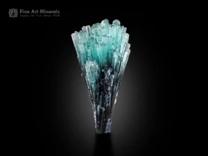 Bouquet-shaped bi-color tourmaline cluster with green tips and dark base.