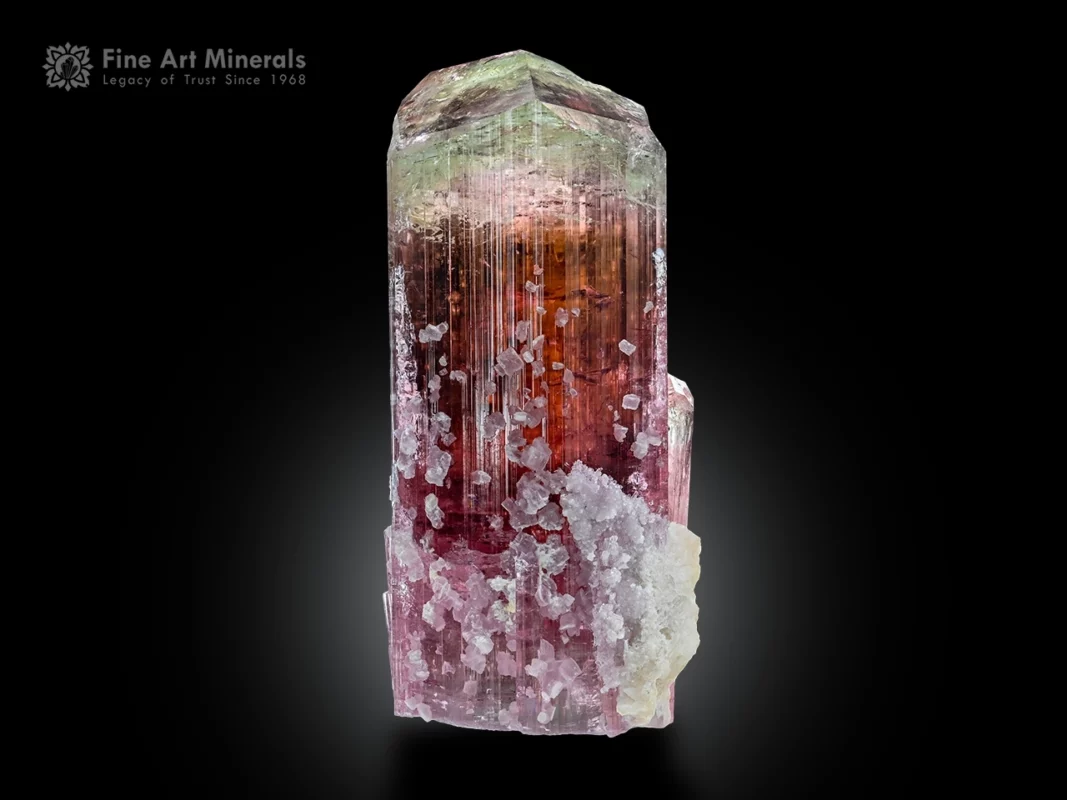 Tourmaline crystal with pink to reddish color, multi-faced termination, vertical striations, and albite association.