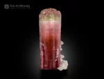 Tourmaline crystal with green and pink color zoning, vertical striations, multi-faced termination, with albite matrix