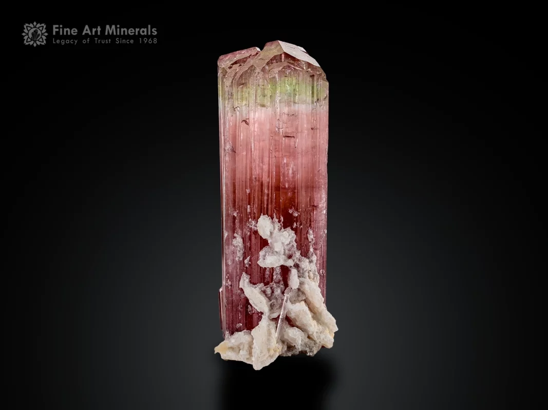 Tourmaline crystal with green and pink color zoning, vertical striations, multi-faced termination, with albite matrix