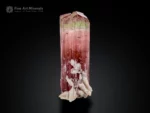 Tourmaline crystal with green and pink color zoning, vertical striations, multi-faced termination, with albite matrix