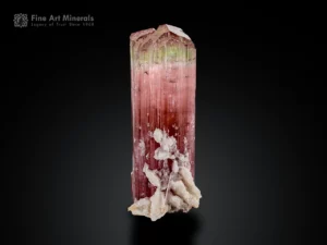 Tourmaline crystal with green and pink color zoning, vertical striations, multi-faced termination, with albite matrix
