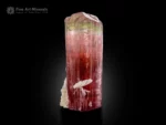 Tourmaline crystal with green and pink color zoning, vertical striations, multi-faced termination, with albite matrix