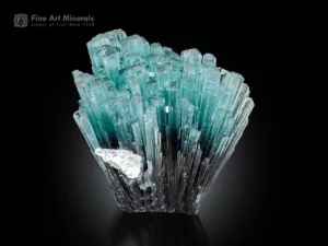 Dense tourmaline crystal cluster with green tips and dark base showing natural color zoning.