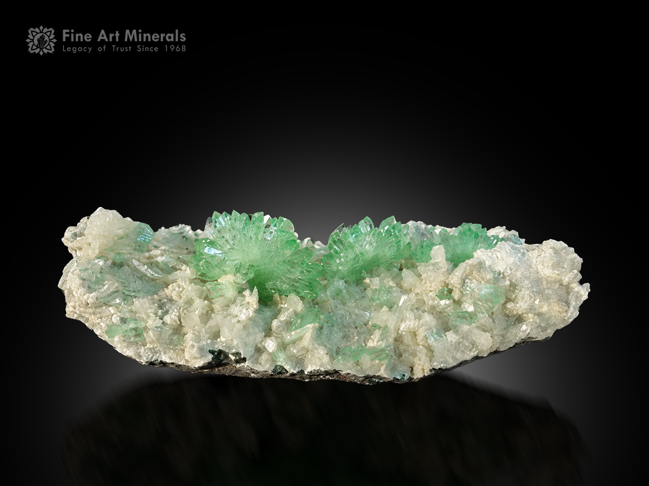 Mint-green apophyllite crystals on white stilbite matrix from Pashan Hill Quarry, India.