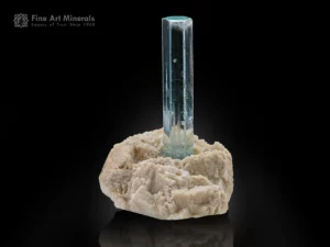 Gem-quality blue Aquamarine crystal rising from white Albite matrix.