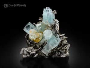 Gemmy sky-blue aquamarine crystals with lustrous muscovite blades from Pakistan, displaying excellent transparency and sharp crystal forms.