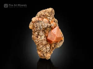 Well-terminated Astrophyllite Quartz crystals on matrix from Pakistan