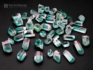 Lot of bi-color tourmaline crystals showing pink to lagoon-blue color zoning with good transparency and luster