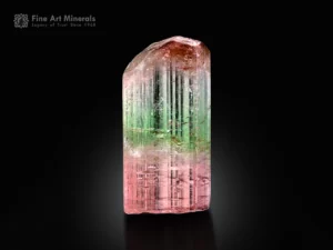 Bicolor tourmaline crystal displaying pink and green color zoning with excellent transparency.