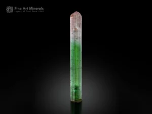 Natural bi-color tourmaline crystal with green and pink color zoning, sharp termination, and superb vertical striations.
