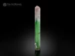 Natural bi-color tourmaline crystal with green and pink color zoning, sharp termination, and superb vertical striations.