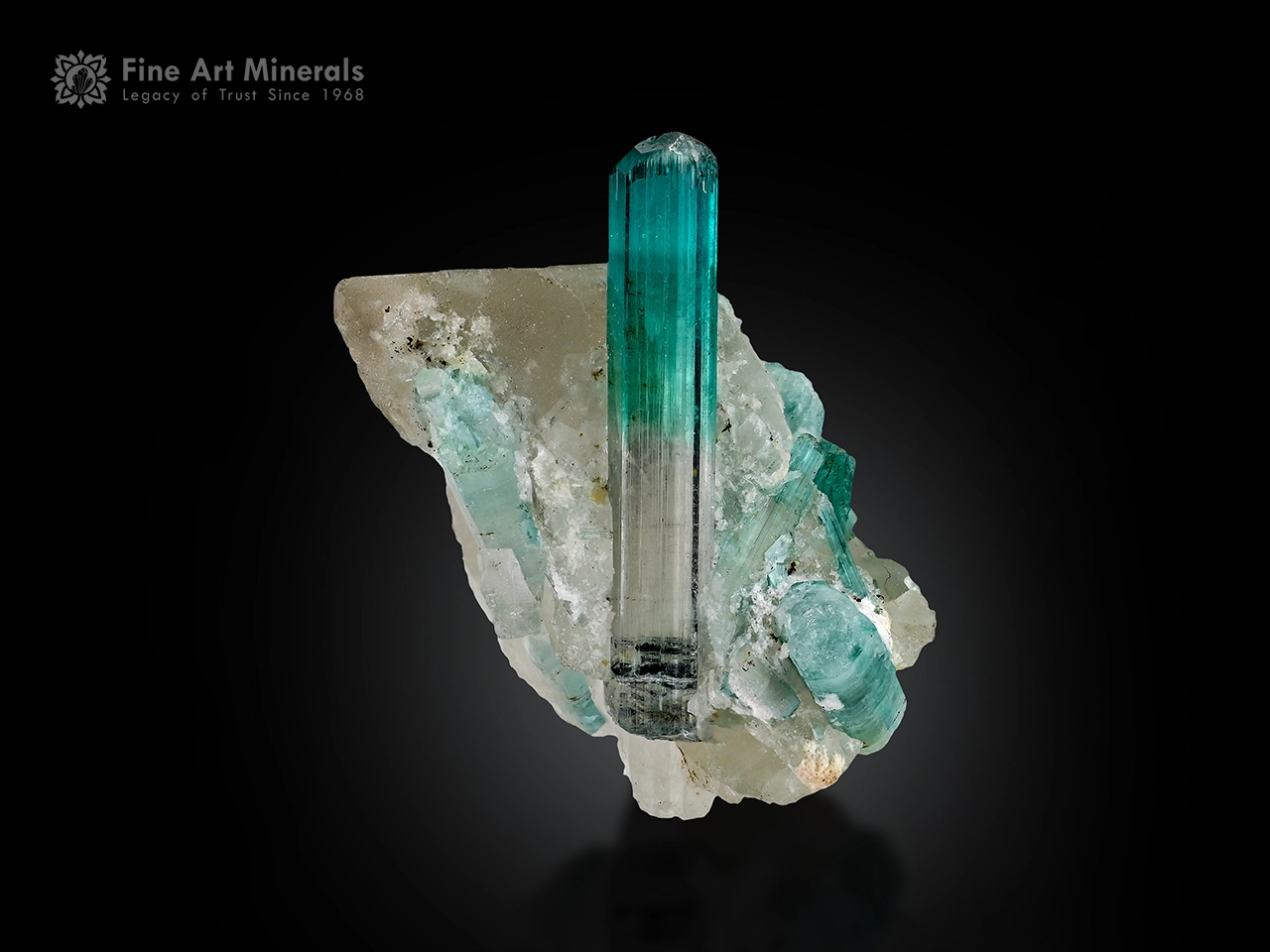 Bi-Color Tourmaline Quartz (1) - Copy Bi-color tourmaline crystal on quartz matrix from Afghanistan