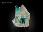 Bi-color tourmaline crystal on quartz matrix from Afghanistan