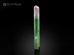 Doubly terminated tourmaline crystal displaying superb green and pink colors with pointed terminations.