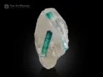 Bluish-green tourmaline crystals associated with quartz showing attractive color contrast and natural crystal growth