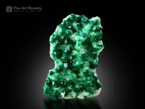 Emerald-green dioptase crystals covering a white matrix from Tsumeb, Namibia.