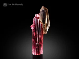 Rare rubellite tourmaline crystal with deep raspberry-red color alongside a doubly terminated quartz crystal.