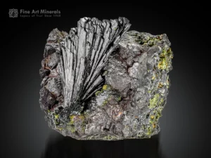 Fan-shaped epidote crystal cluster with superb luster on columbite matrix.