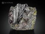 Fan-shaped epidote crystal cluster with superb luster on columbite matrix.