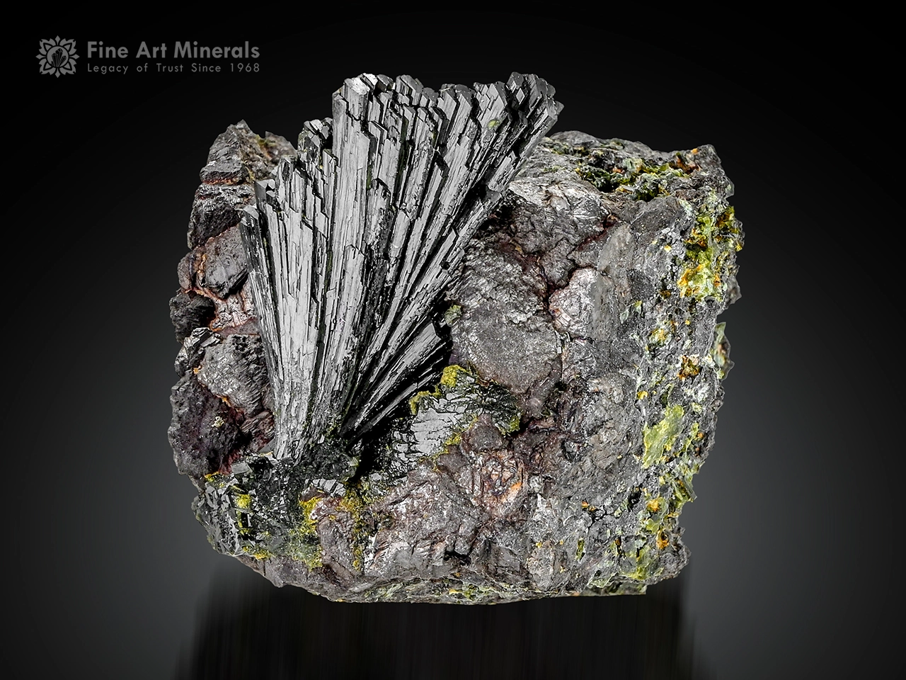 Fan-shaped epidote crystal cluster with superb luster on columbite matrix.