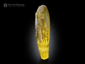 Golden heliodor crystal with rich yellow color, egg-shaped termination, and strong vertical striations from Brazil.