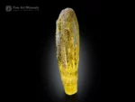 Golden heliodor crystal with rich yellow color, egg-shaped termination, and strong vertical striations from Brazil.