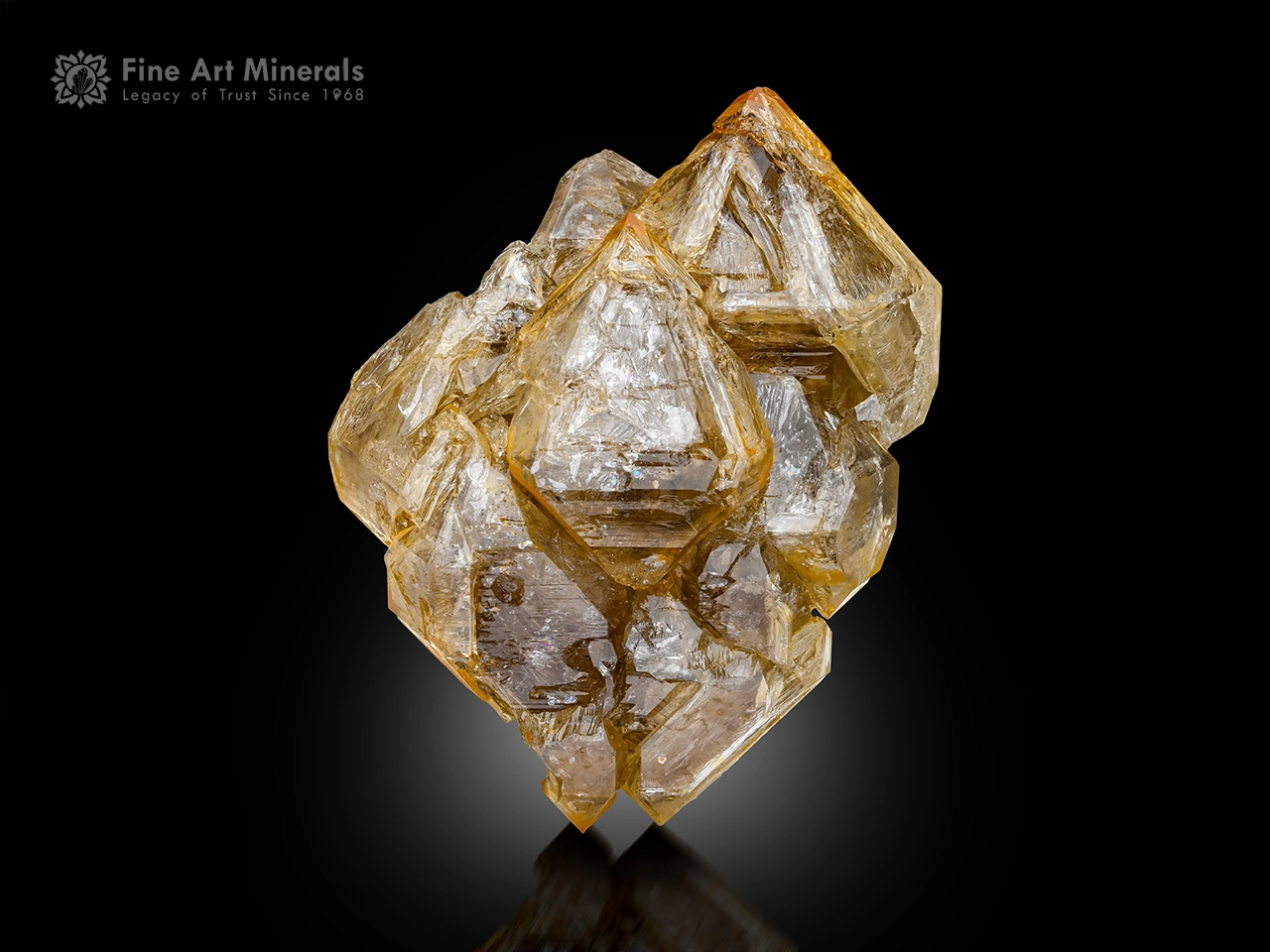 Golden Window Quartz Crystal Cluster (1) Golden window quartz crystal cluster with sharp terminations and brilliant luster.