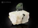 Lustrous green Diopside crystal on contrasting white Albite matrix.