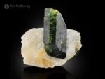 Lustrous green Diopside crystal on contrasting white Albite matrix.