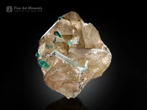 Green tourmaline crystals protruding from smoky quartz with attractive contrast and natural crystal formation.