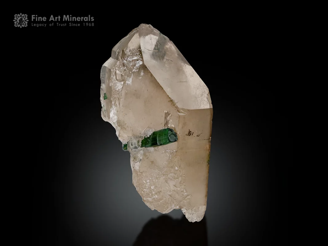 Green tourmaline crystals embedded in smoky quartz with excellent luster and attractive color contrast.