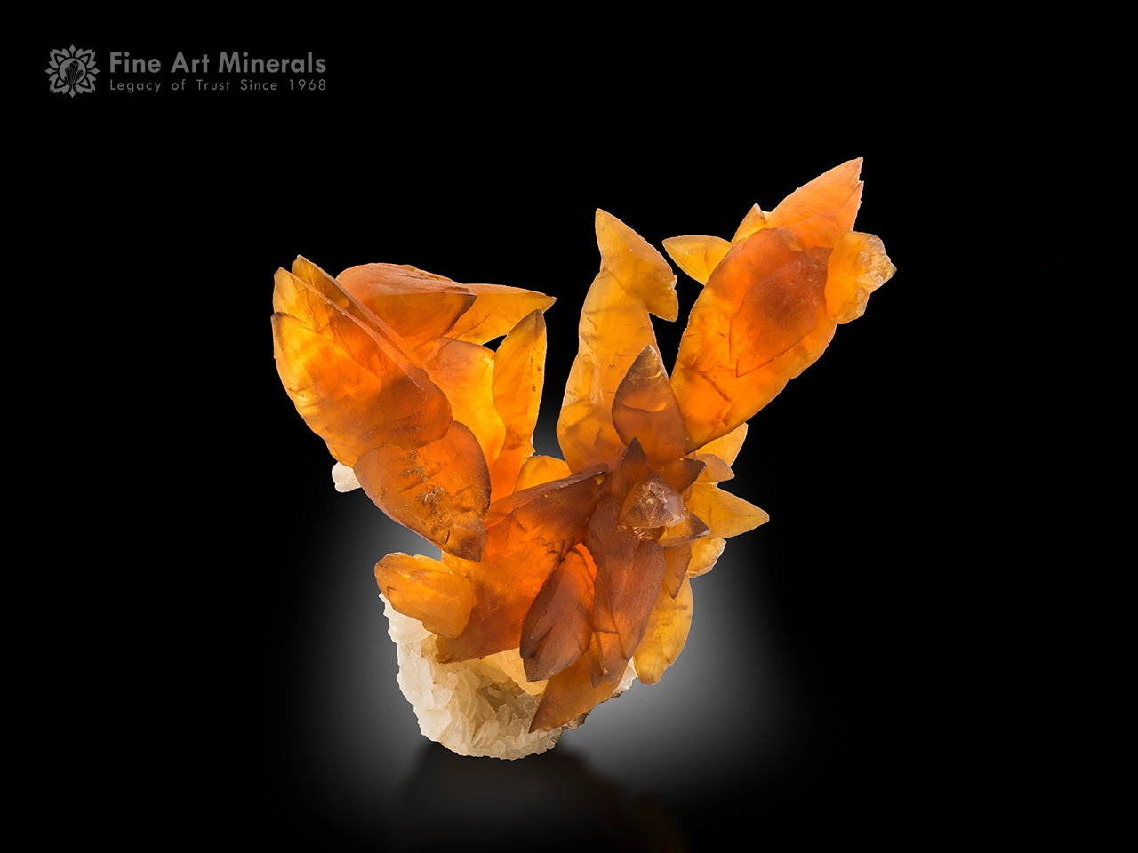 Honey-colored calcite crystals in a flower-like formation on soft white okenite matrix.
