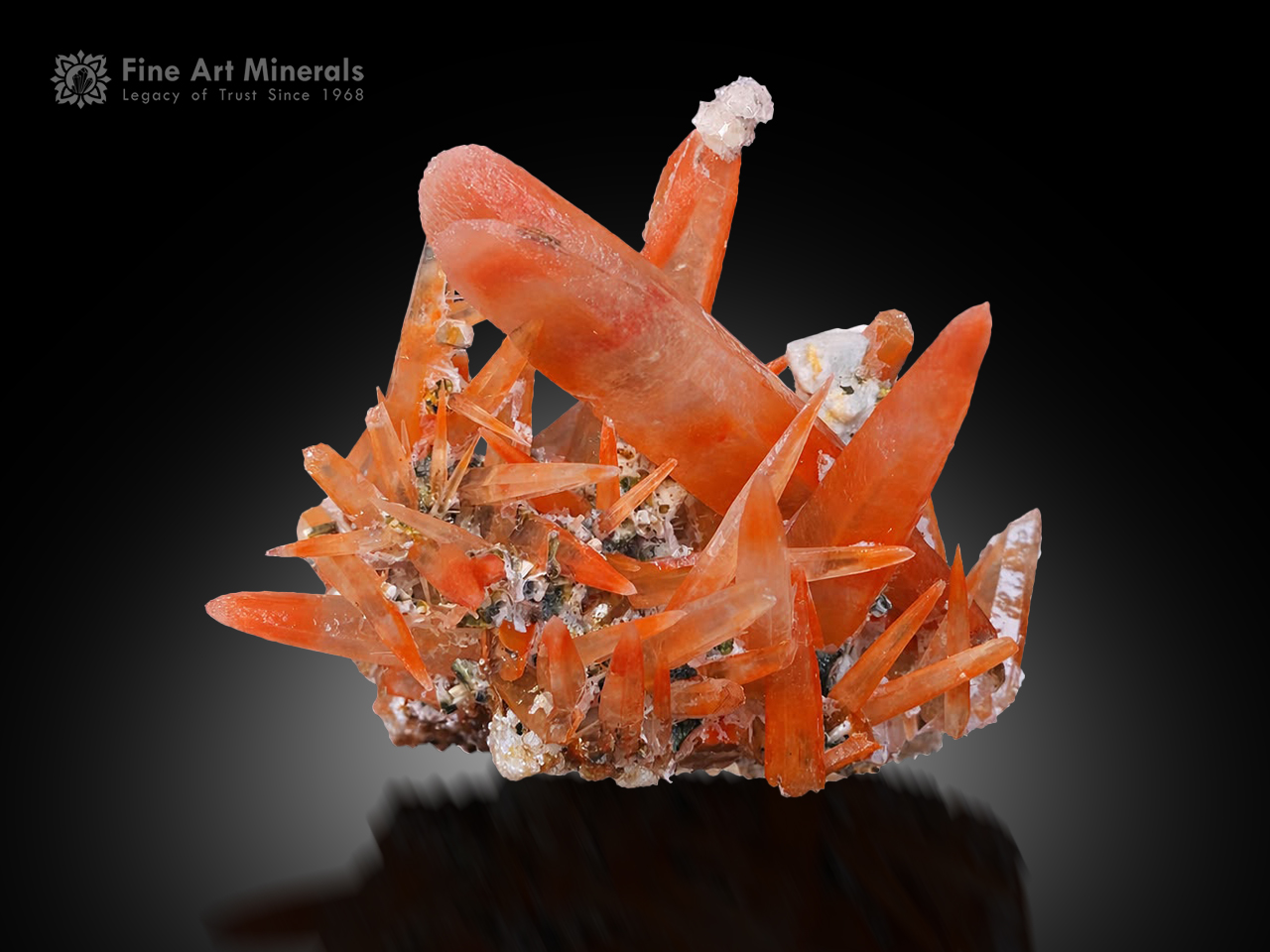 Vibrant orange quartz crystal cluster from Guangdong, China, with sharp elongated crystals.