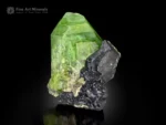 Bright green Peridot crystal associated with black Magnetite crystal.