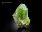 Bright green Peridot crystal associated with black Magnetite crystal.