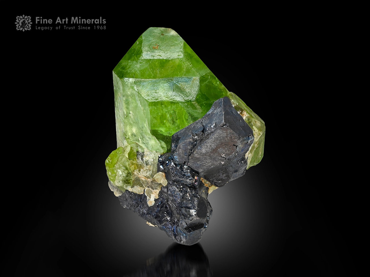 Bright green Peridot crystal associated with black Magnetite crystal.