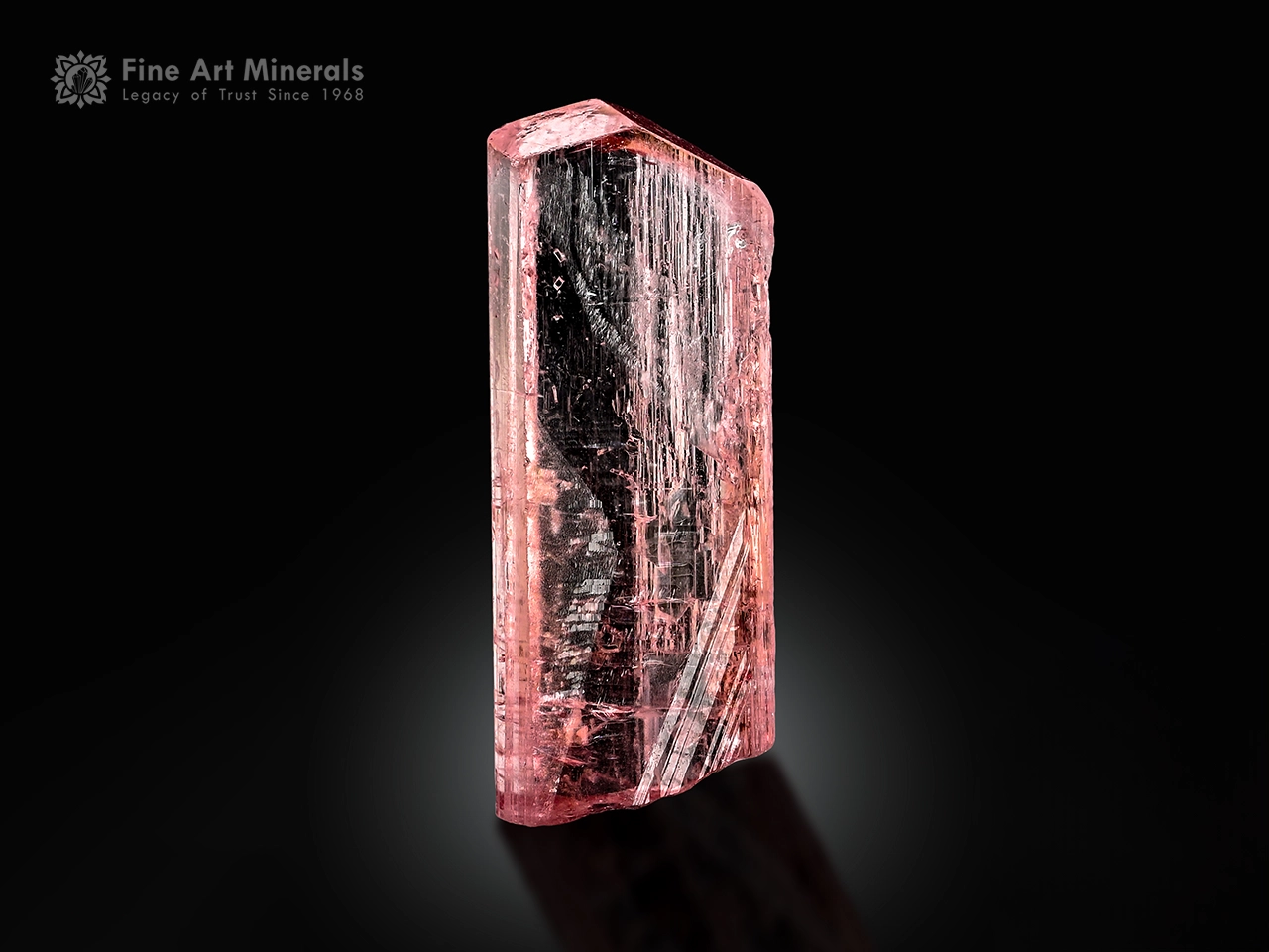 Pink Tourmaline Crystal (1) - Copy Gemmy pink tourmaline crystal with excellent clarity and vibrant pink color.