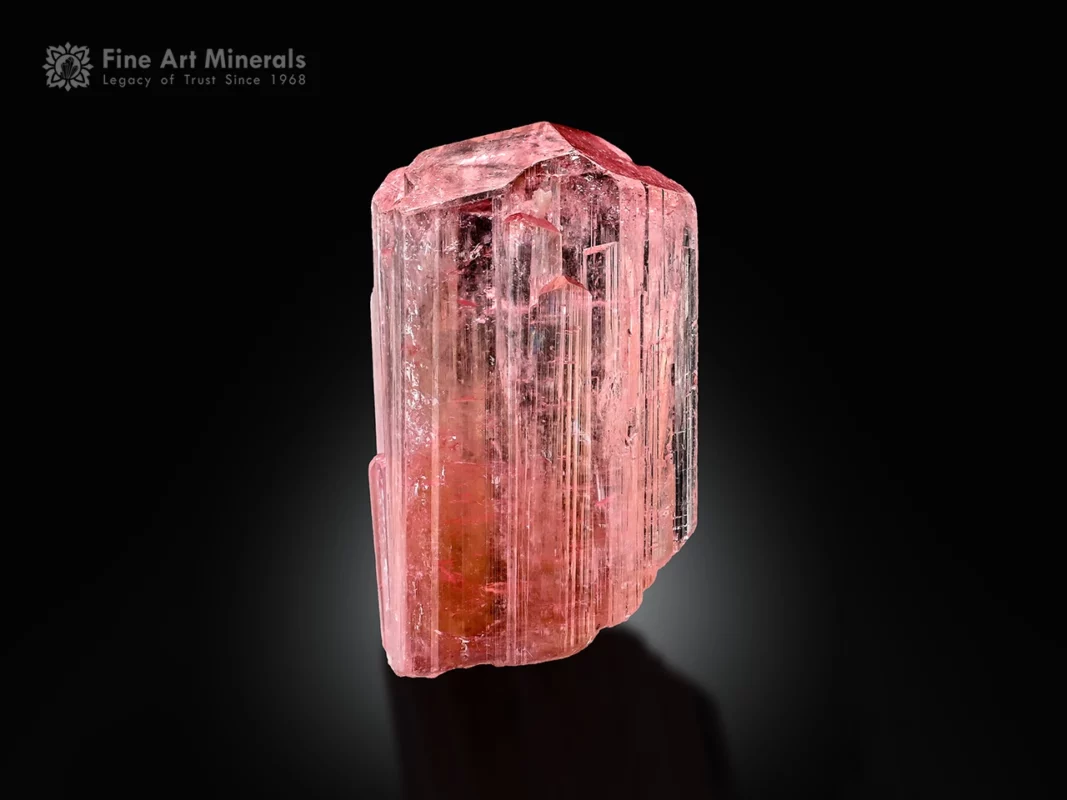 Gemmy pink tourmaline crystal with sharp termination and vibrant color.