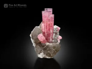 Bubblegum-pink tourmaline crystals with quartz and albite on matrix.