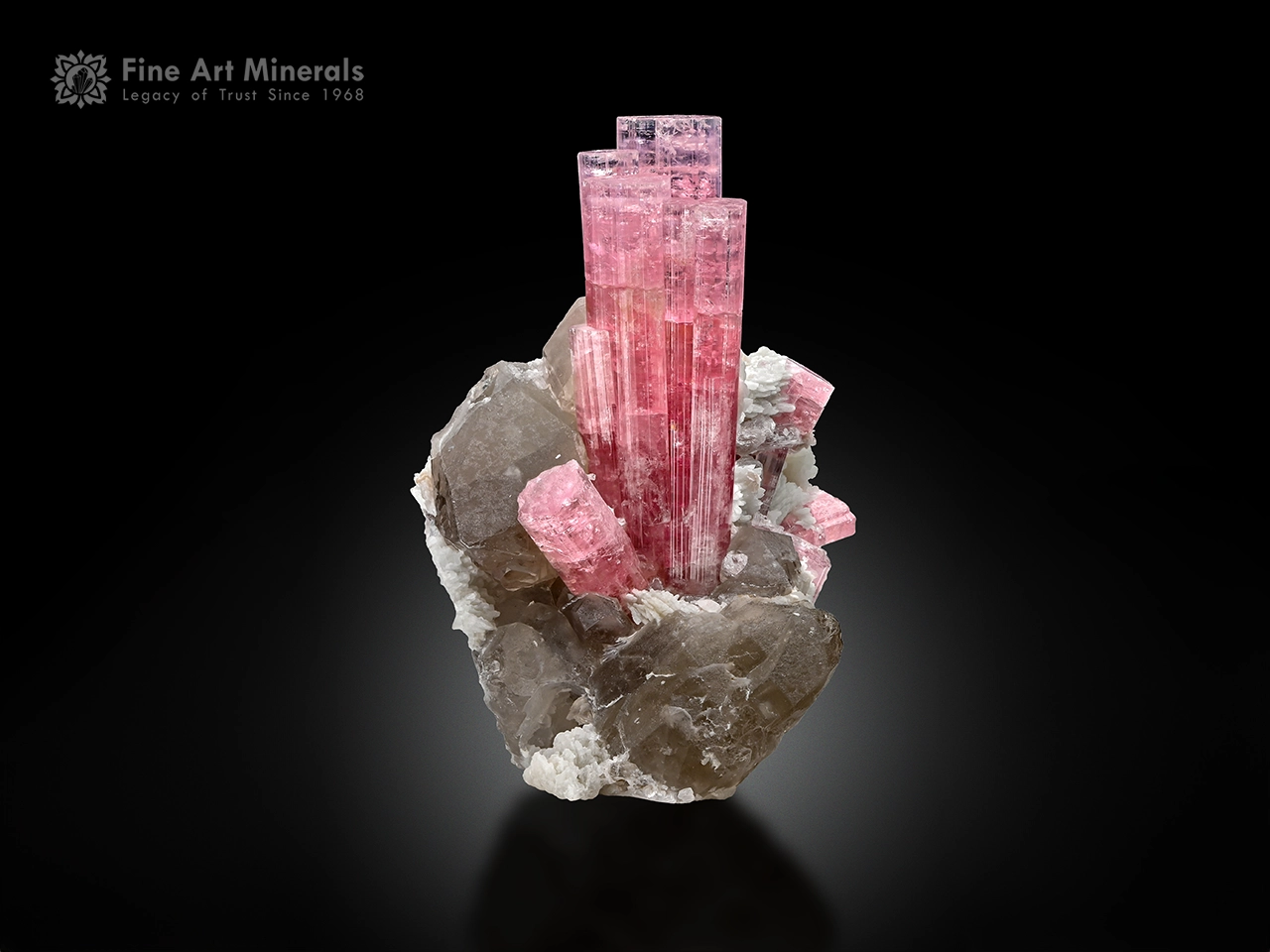 Bubblegum-pink tourmaline crystals with quartz and albite on matrix.