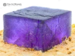 Deep purple Fluorite cube with sharp geometry on contrasting hard matrix.