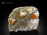 Gemmy orange Scheelite crystals on silvery-green Muscovite rosettes with Quartz from Xuebaoding.