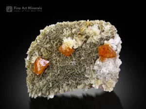 Gemmy orange Scheelite crystals on silvery-green Muscovite rosettes with Quartz from Xuebaoding.